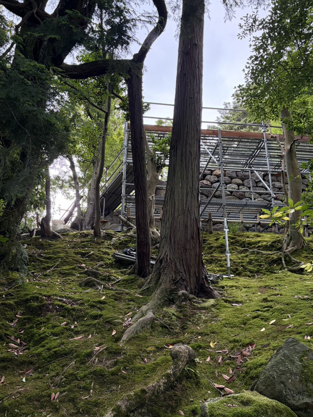 苔と石垣のある庭園に組まれた仮設足場